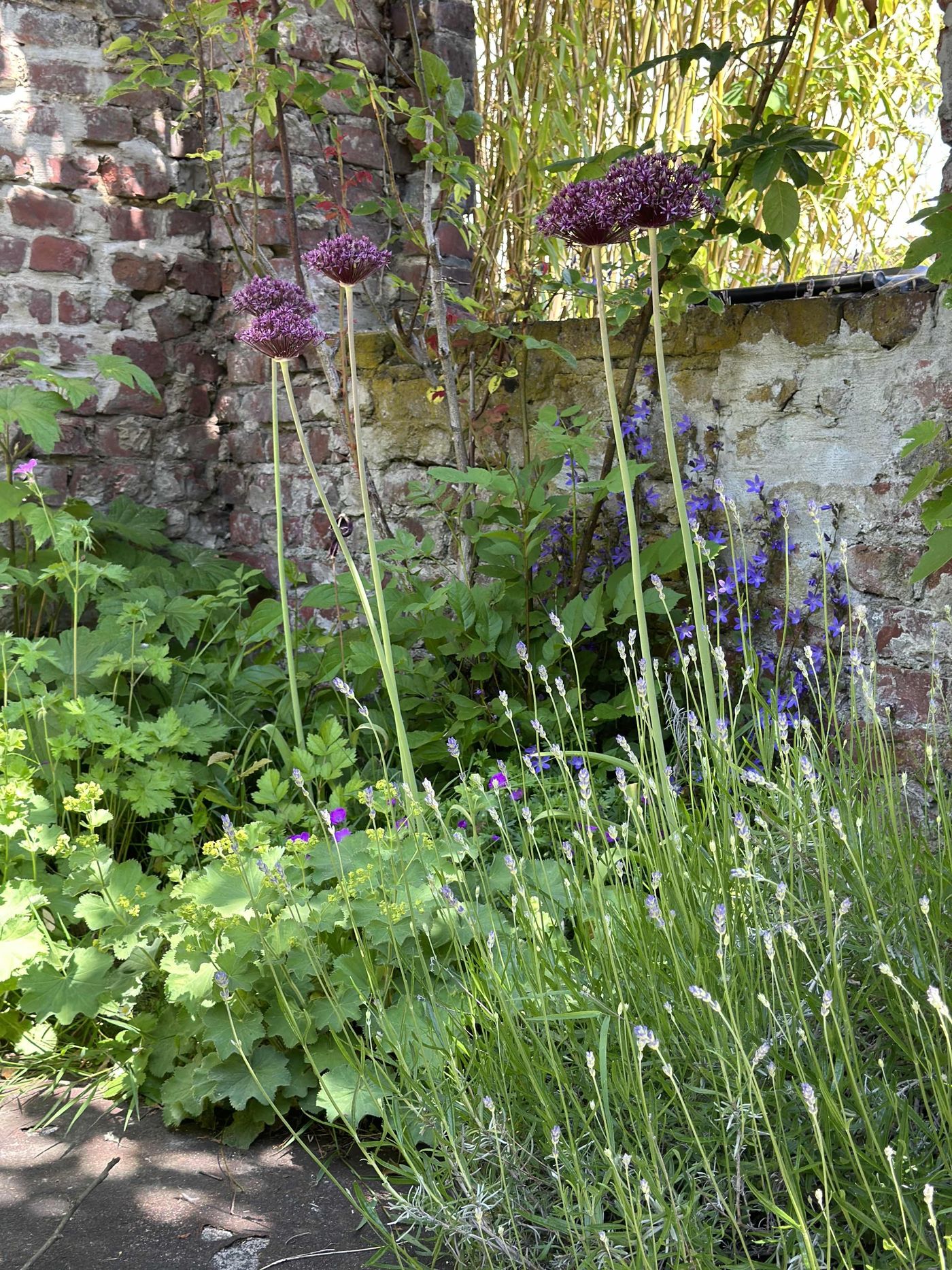 Ruine