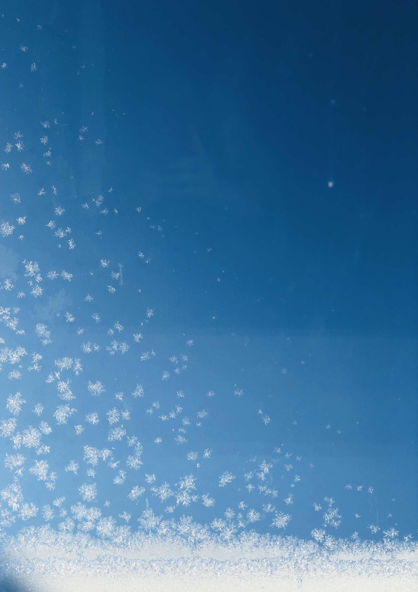 Eisblumen