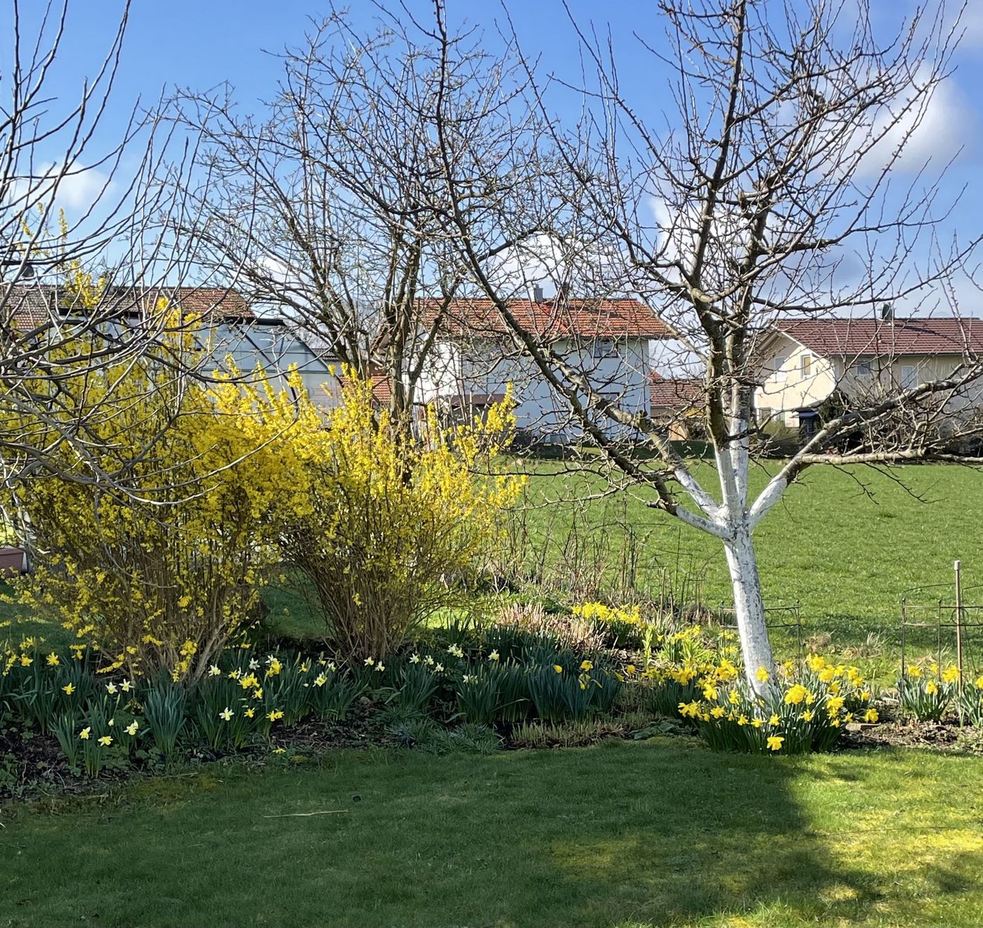 Frühlingsgefühl