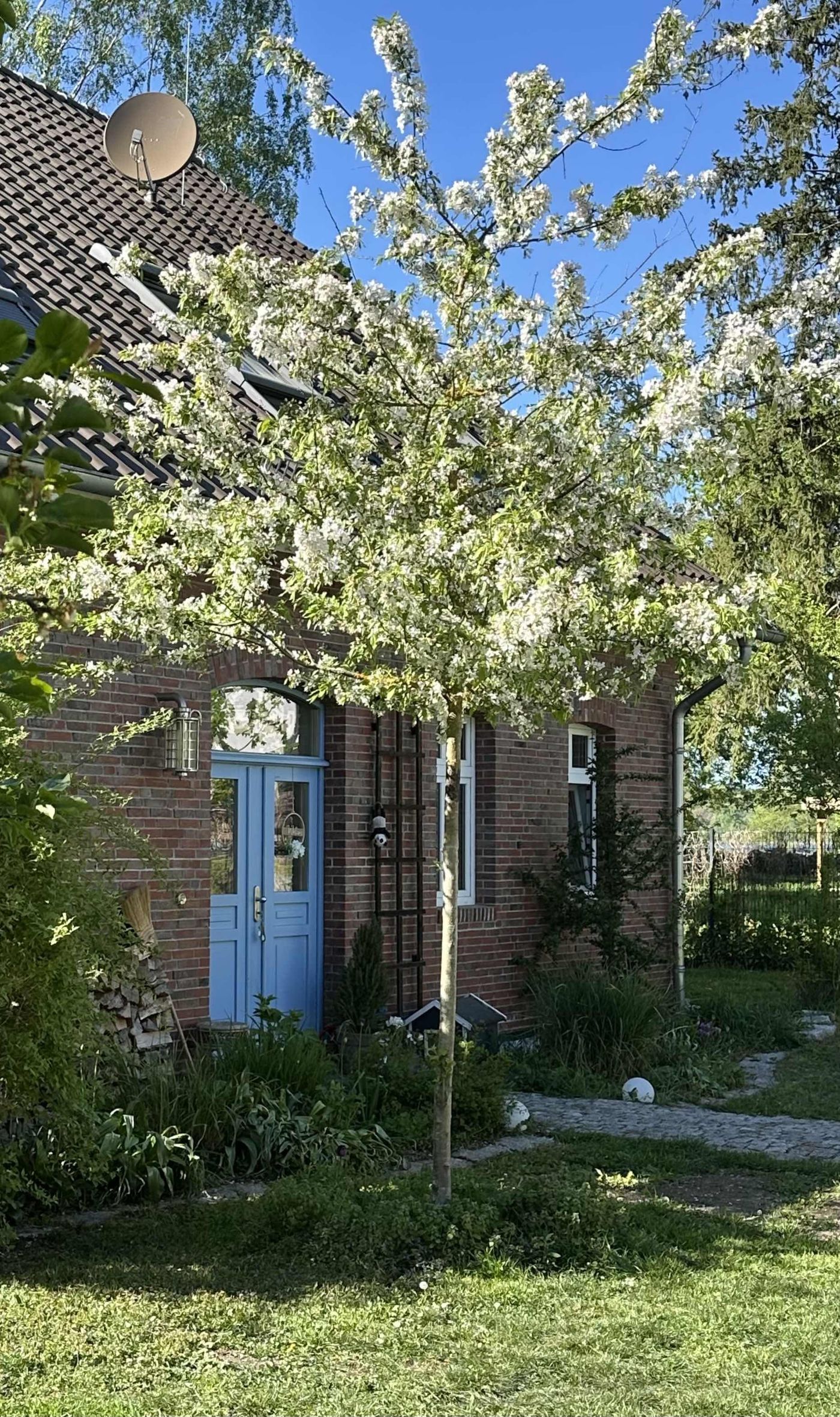 Bild von Clärchens Ballhaus