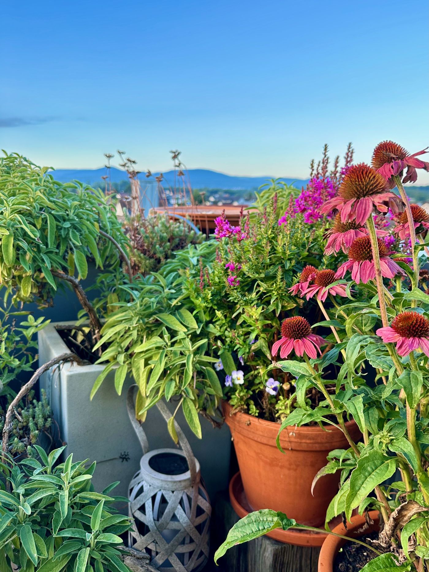 Dachterrasse