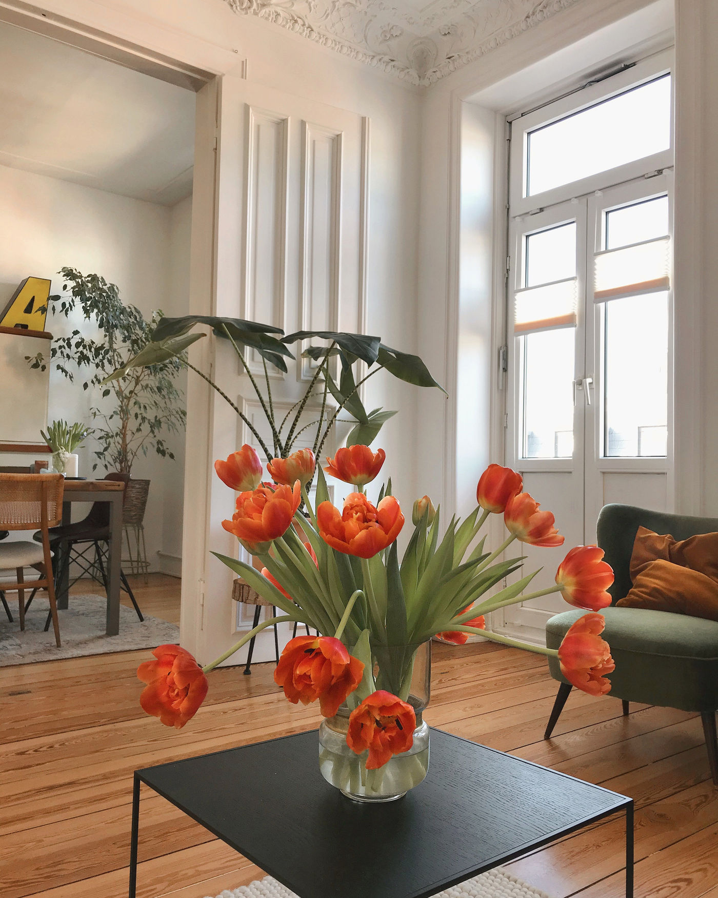 Flower Wird Verrückt Sobald Sie Einen Hahn Bekommt Flower Wird Verrückt Sobald Sie Einen Hahn Bekommt