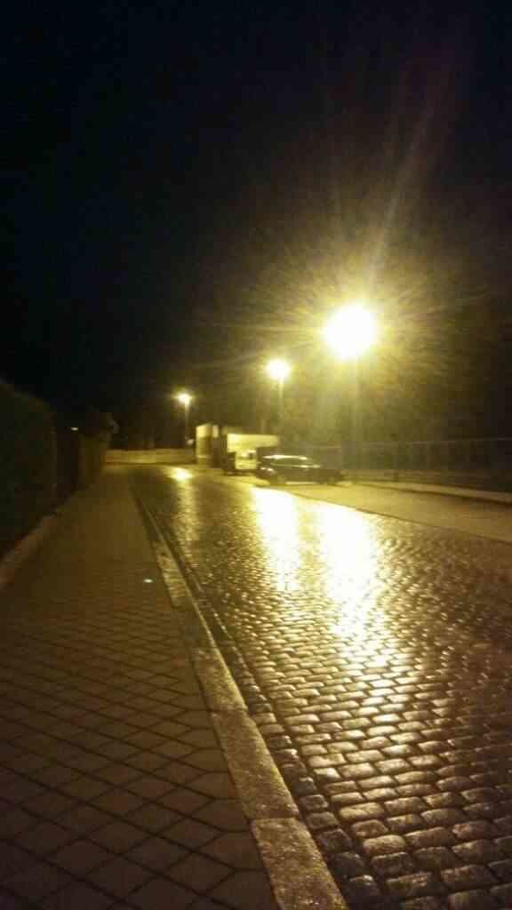 gassi