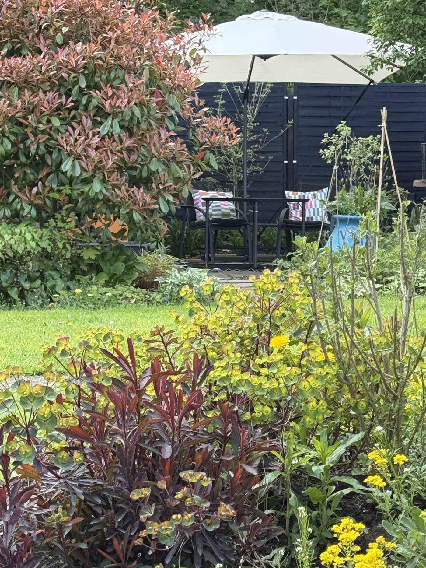 Blick auf die Terasse