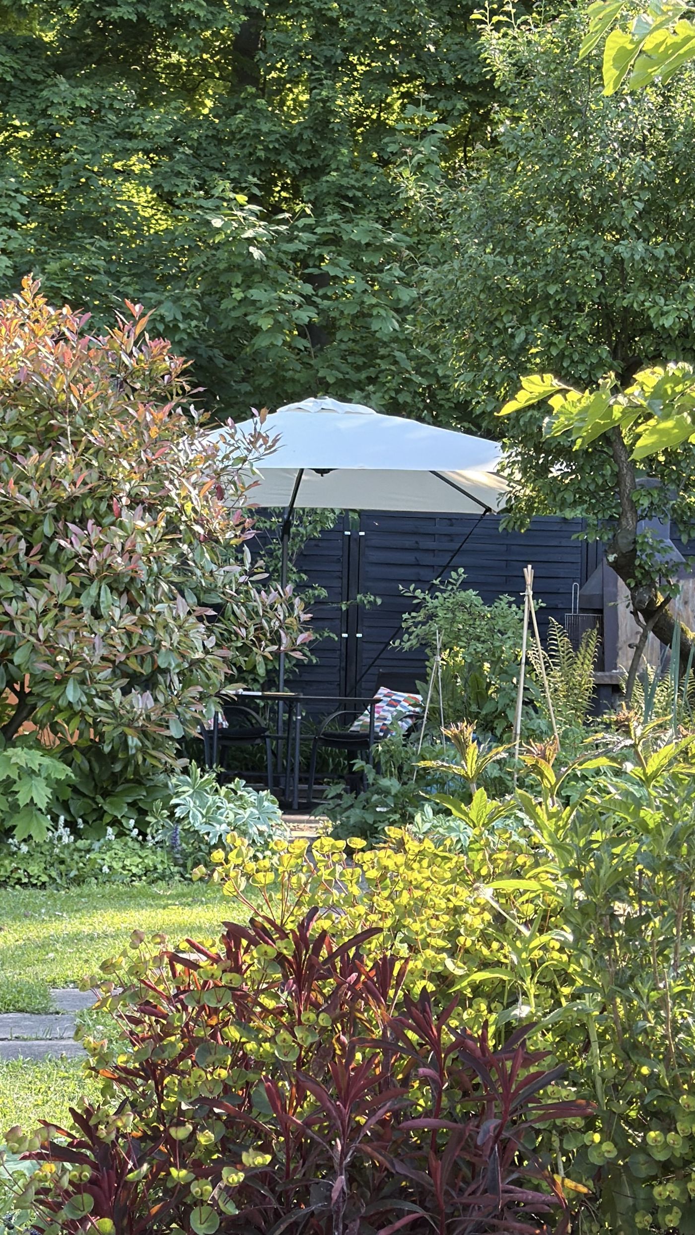 Kleiner Garten