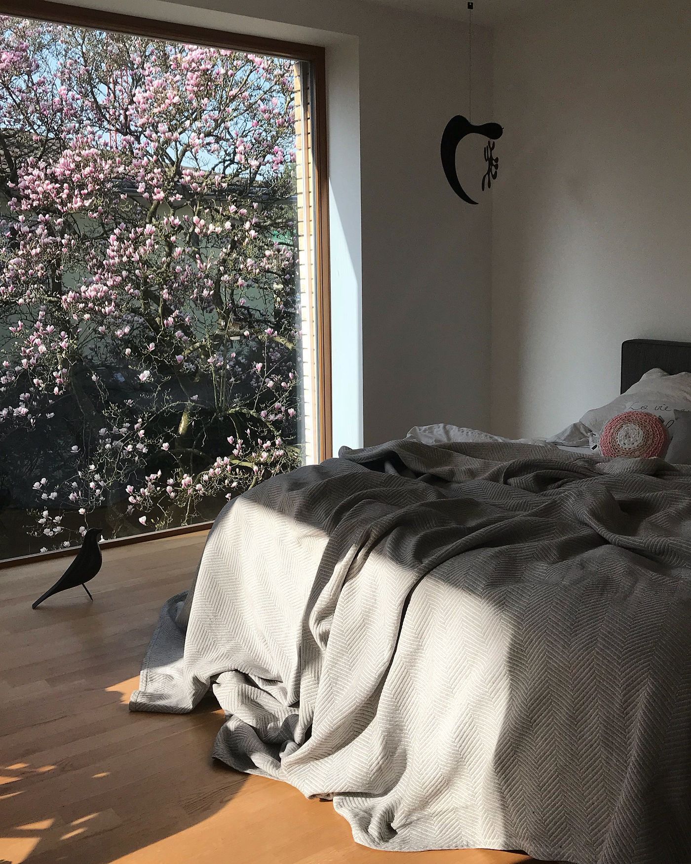 Renovieren