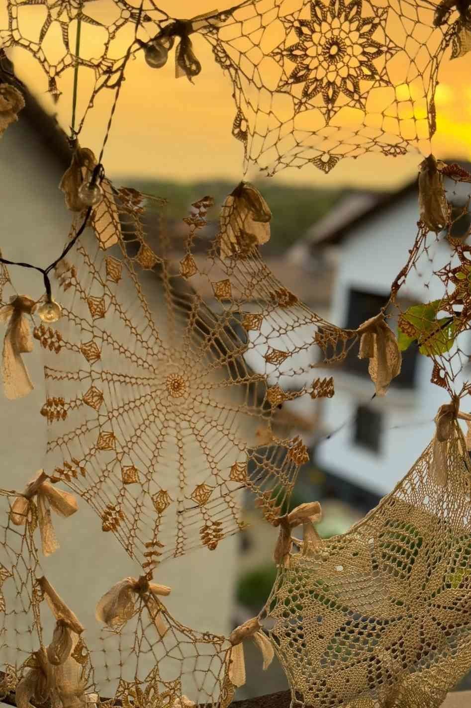 Spinnennetz