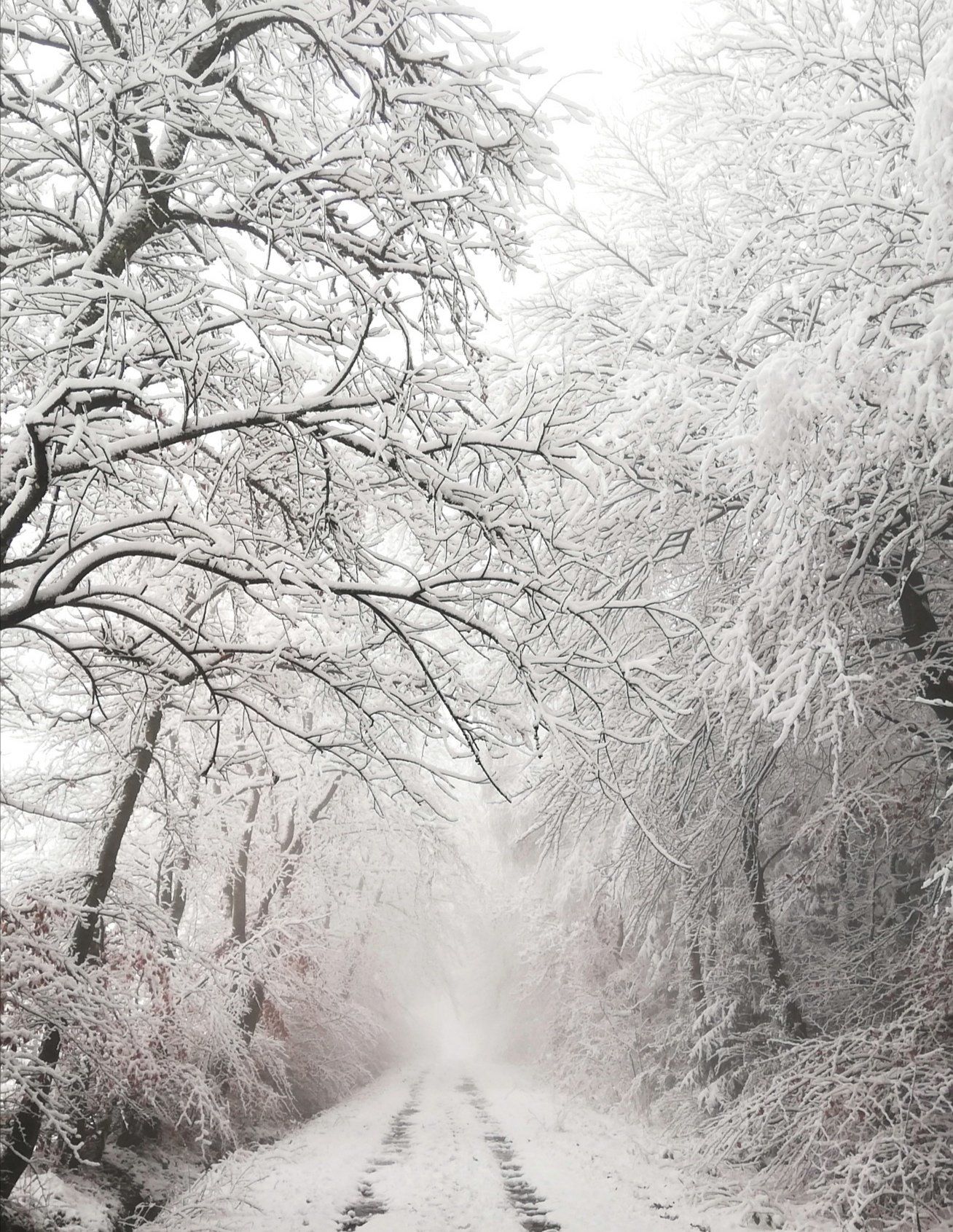 Schnee