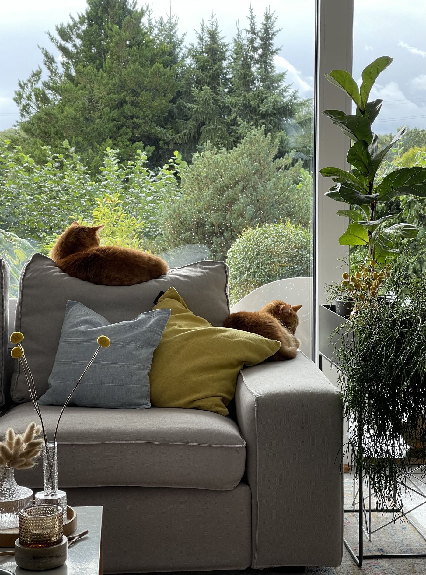 Floor sofa ikea online