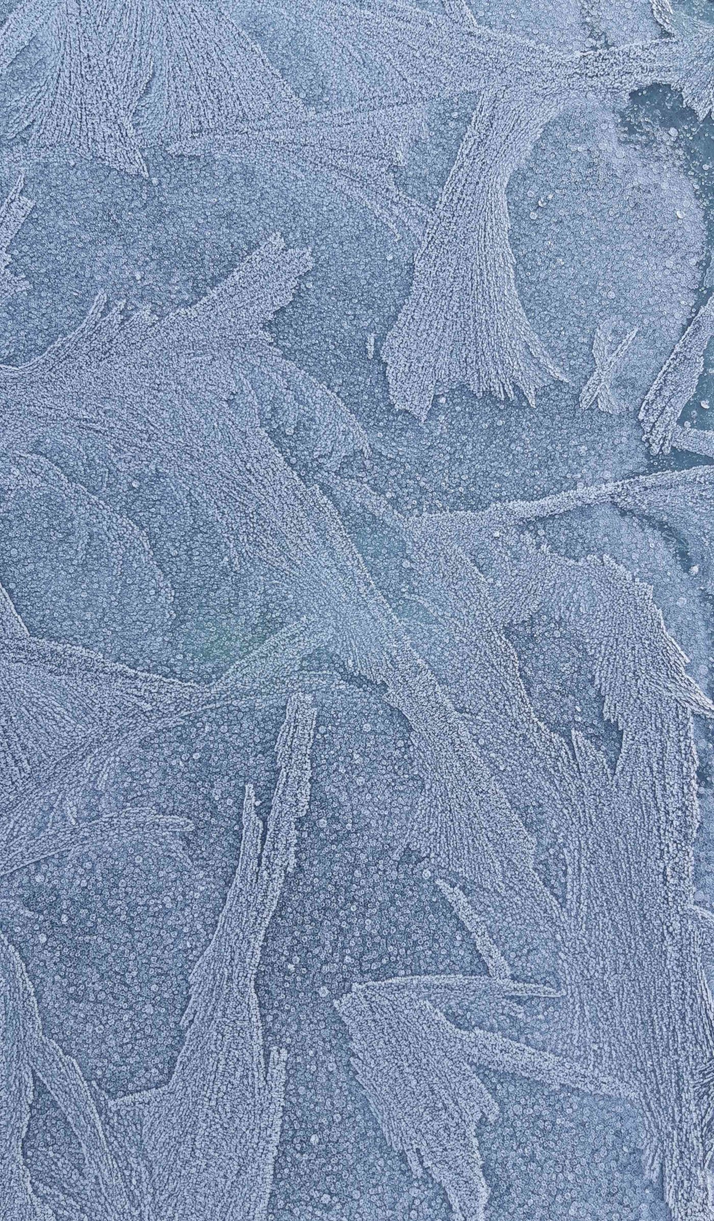 Eisblumen