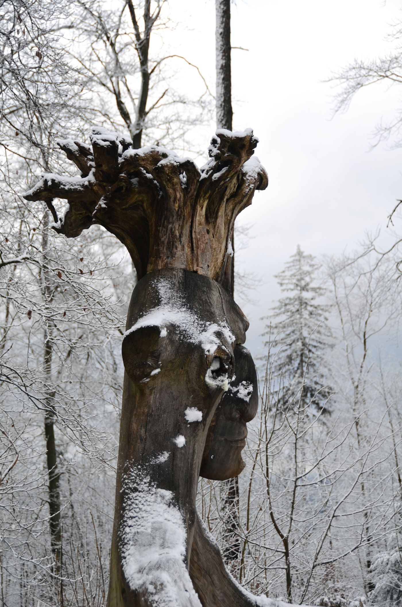 Winterwunderland