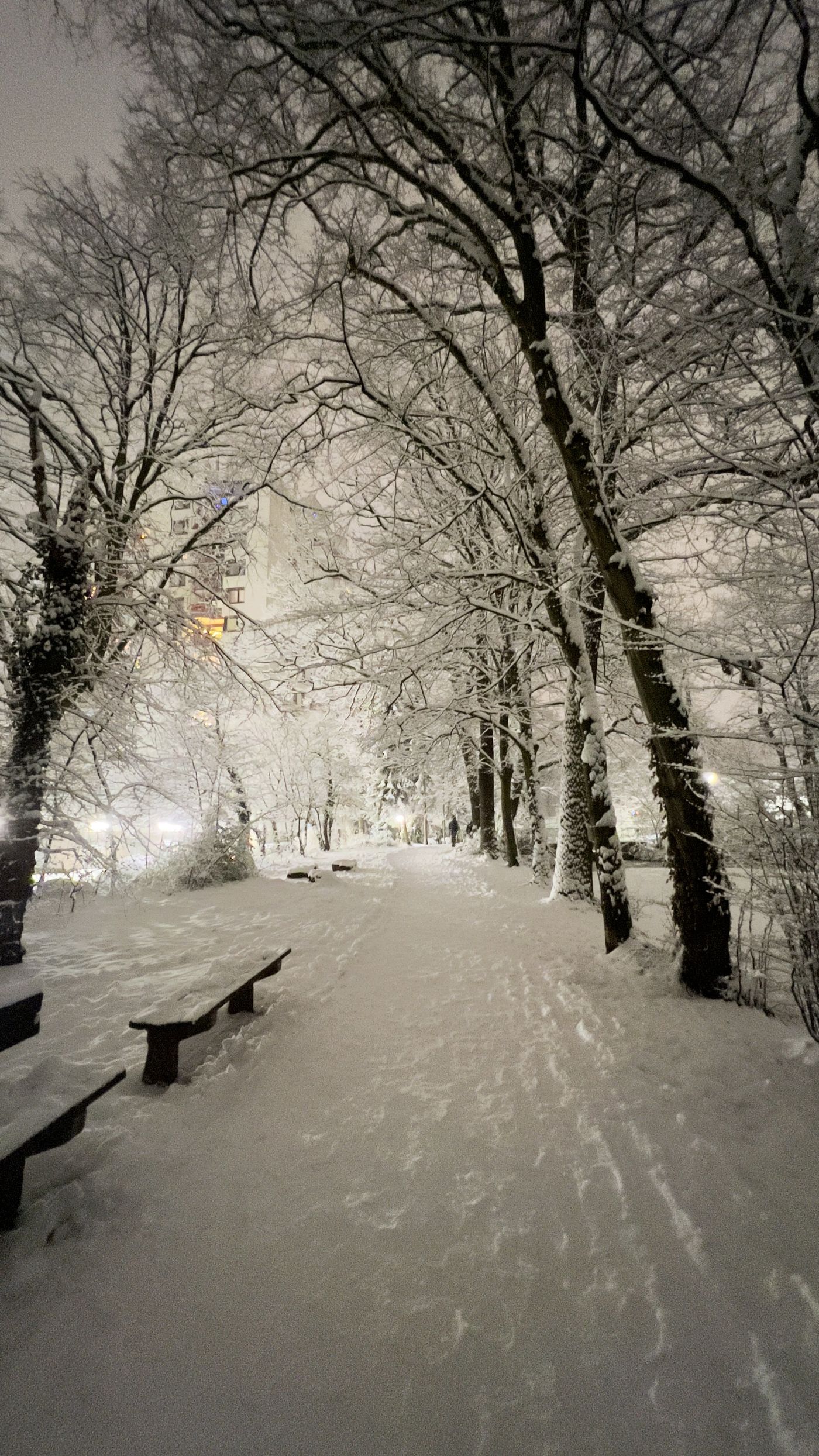 Schnee