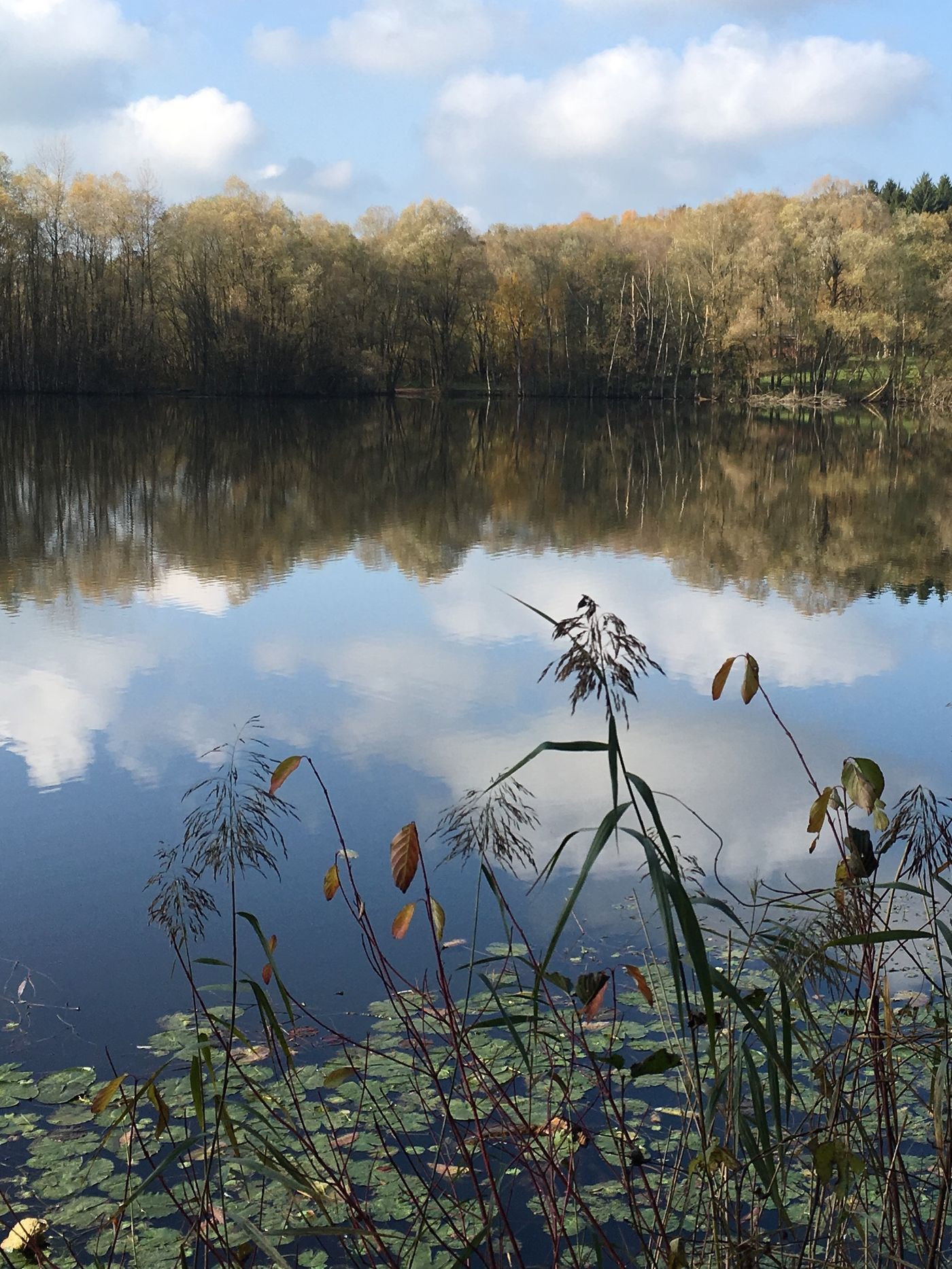 Herbst 2017