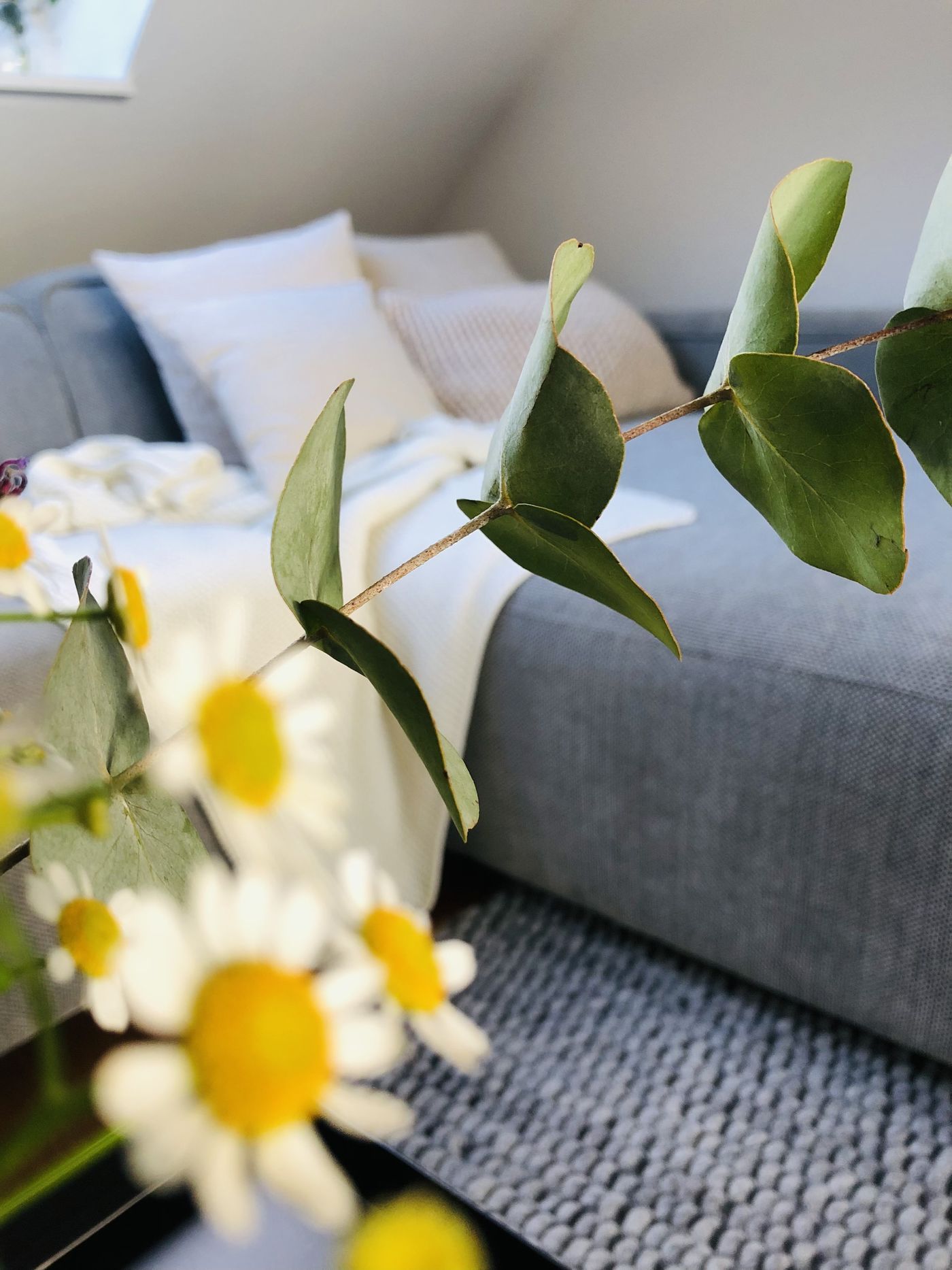 Sofas