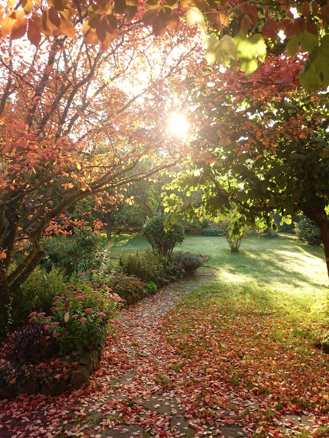 Die schönsten Gartenweg Ideen - Seite 2