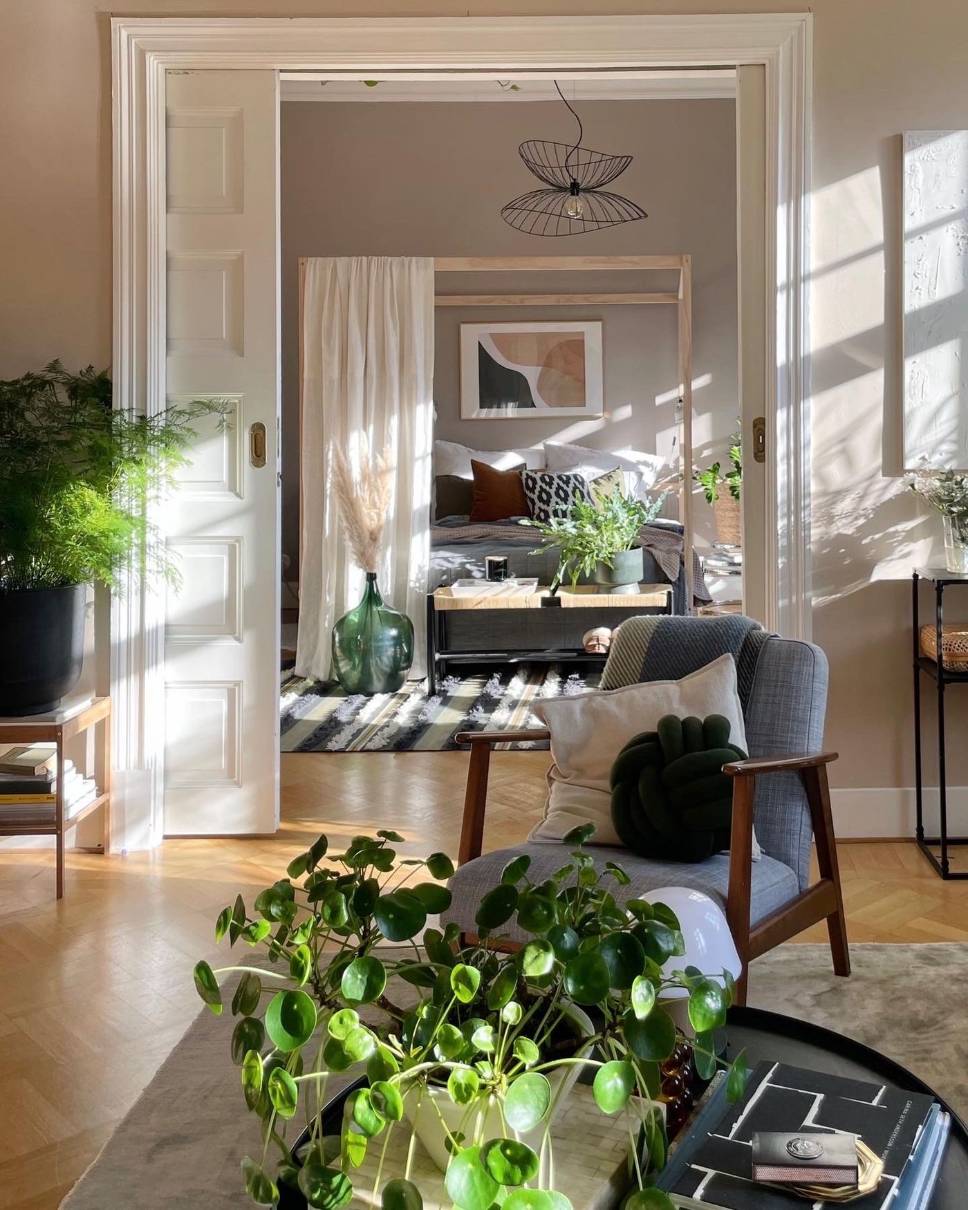 pilea