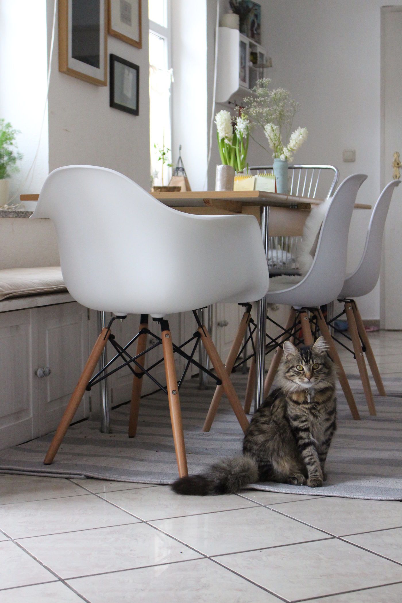 Küchenbank: Ideen & Bilder