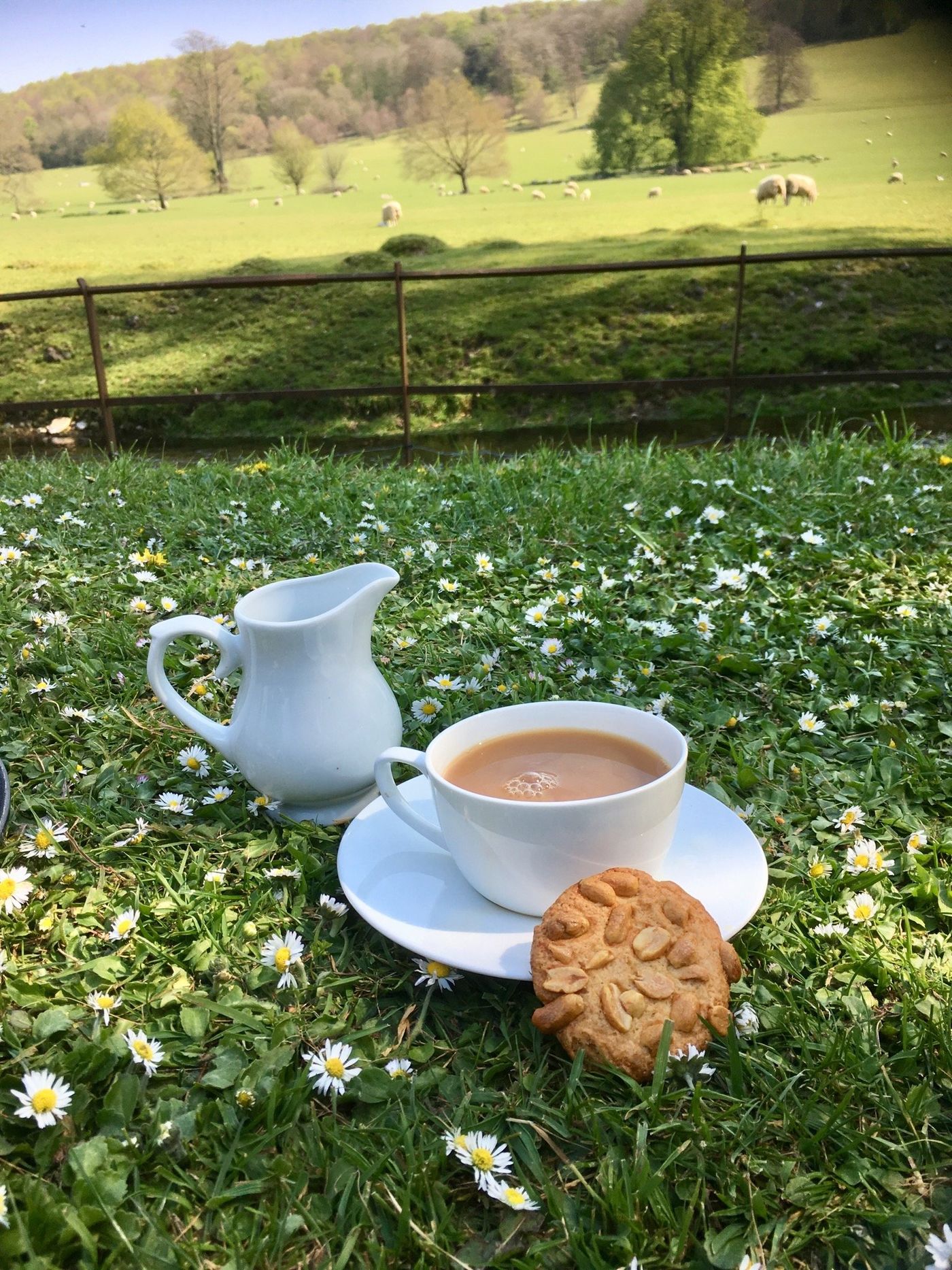Tea Time