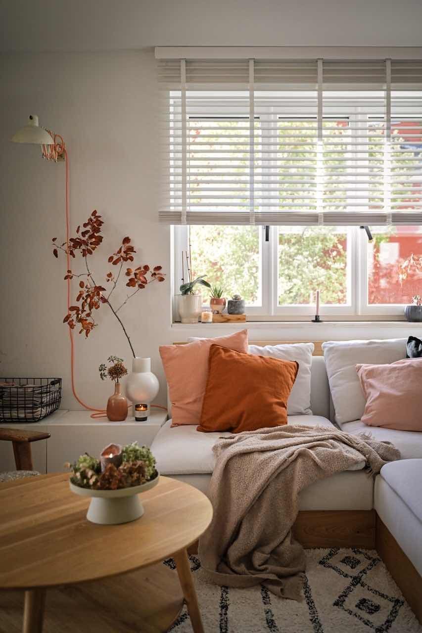 Cozy
