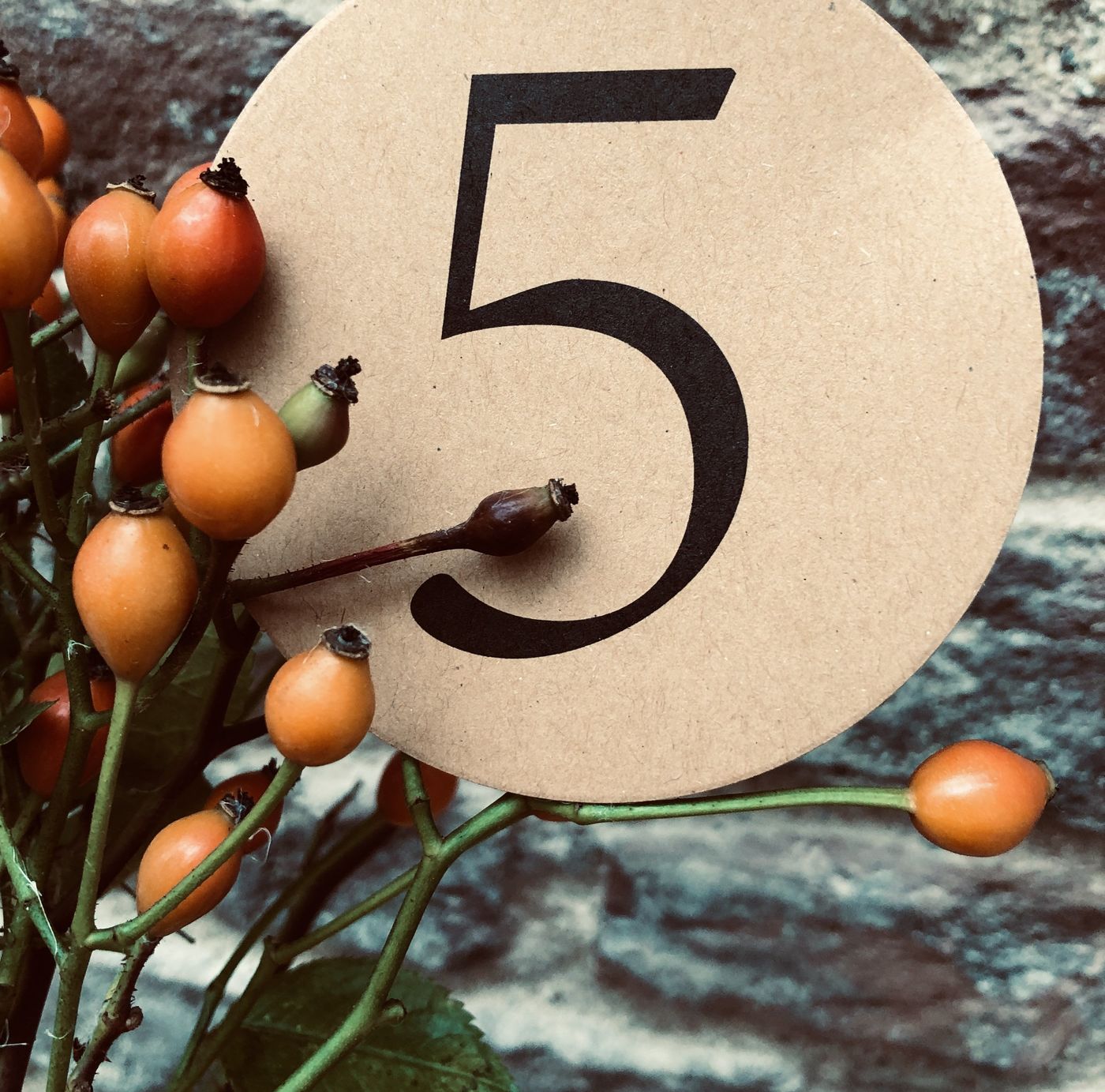 Adventskalender