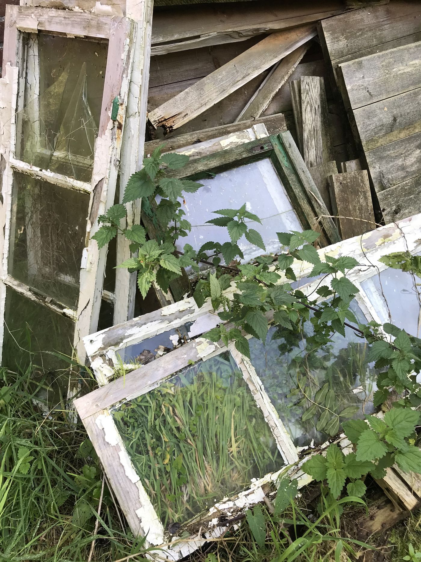 Altes Fenster