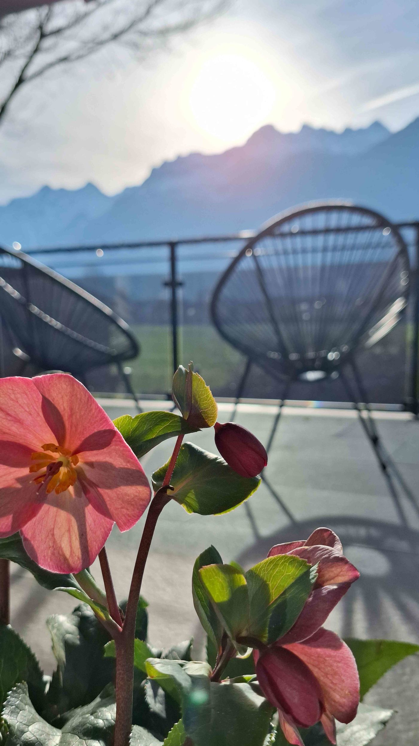 Aussichten