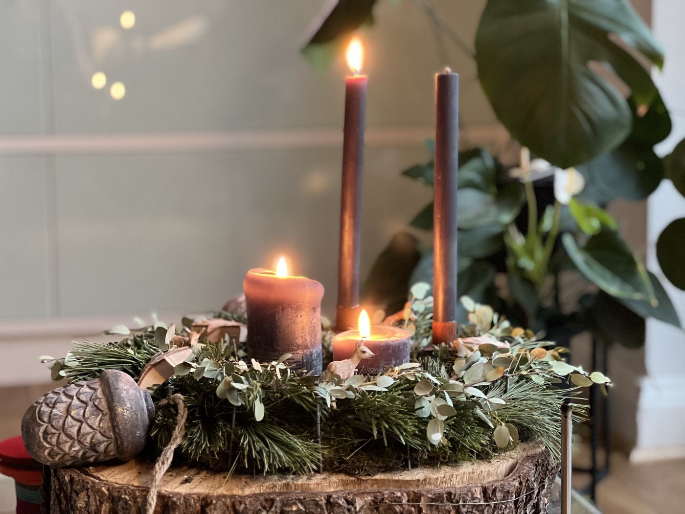 Weihnachtssterne basteln