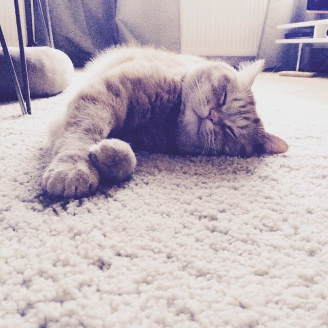 flauschig