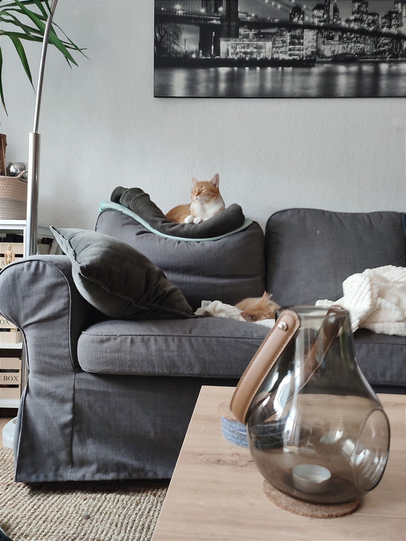 Ideen und Inspirationen fur dein Sofa Seite 2
