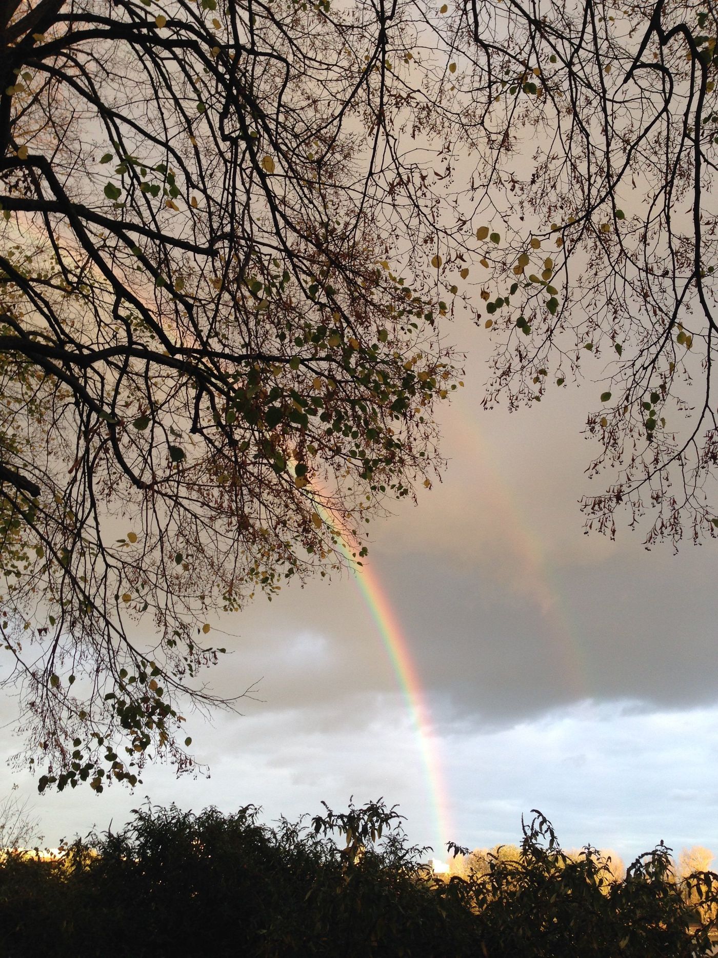 Rainbow