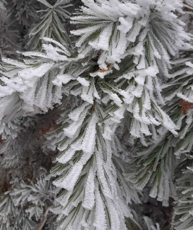 Eiskristalle
