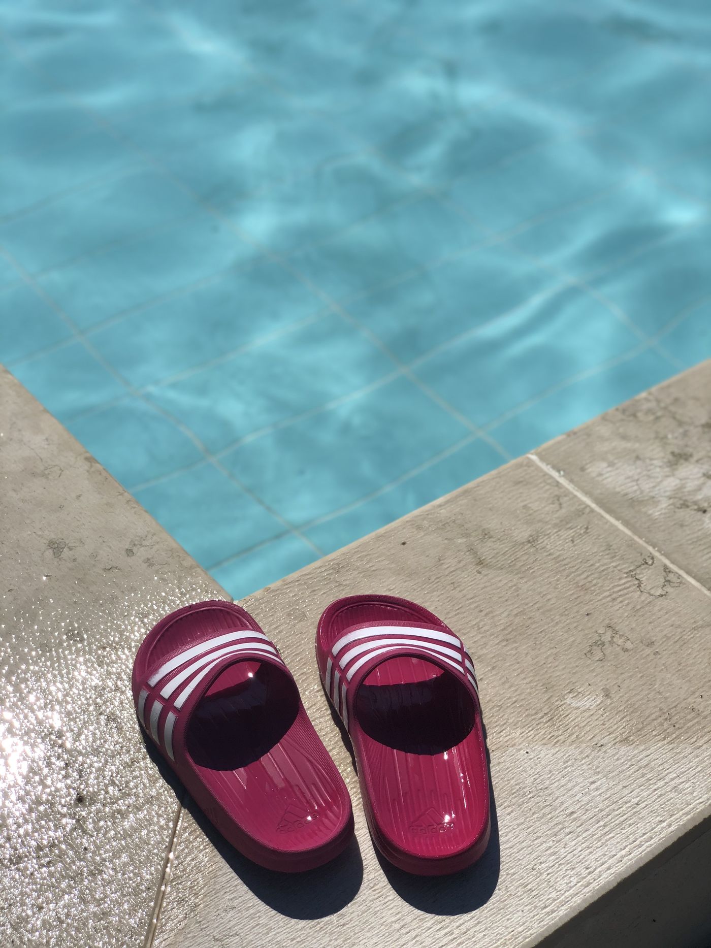 Garten Pool