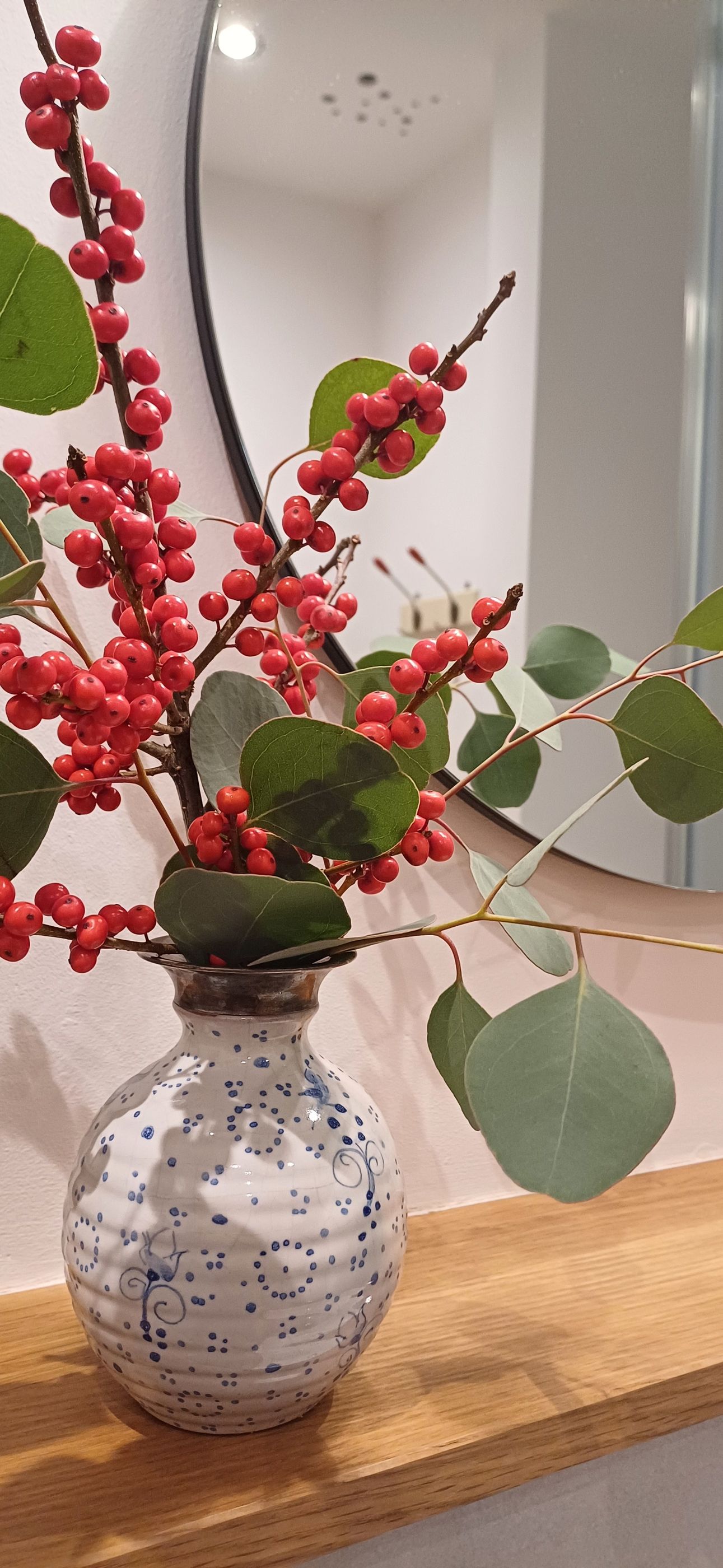 Ilex