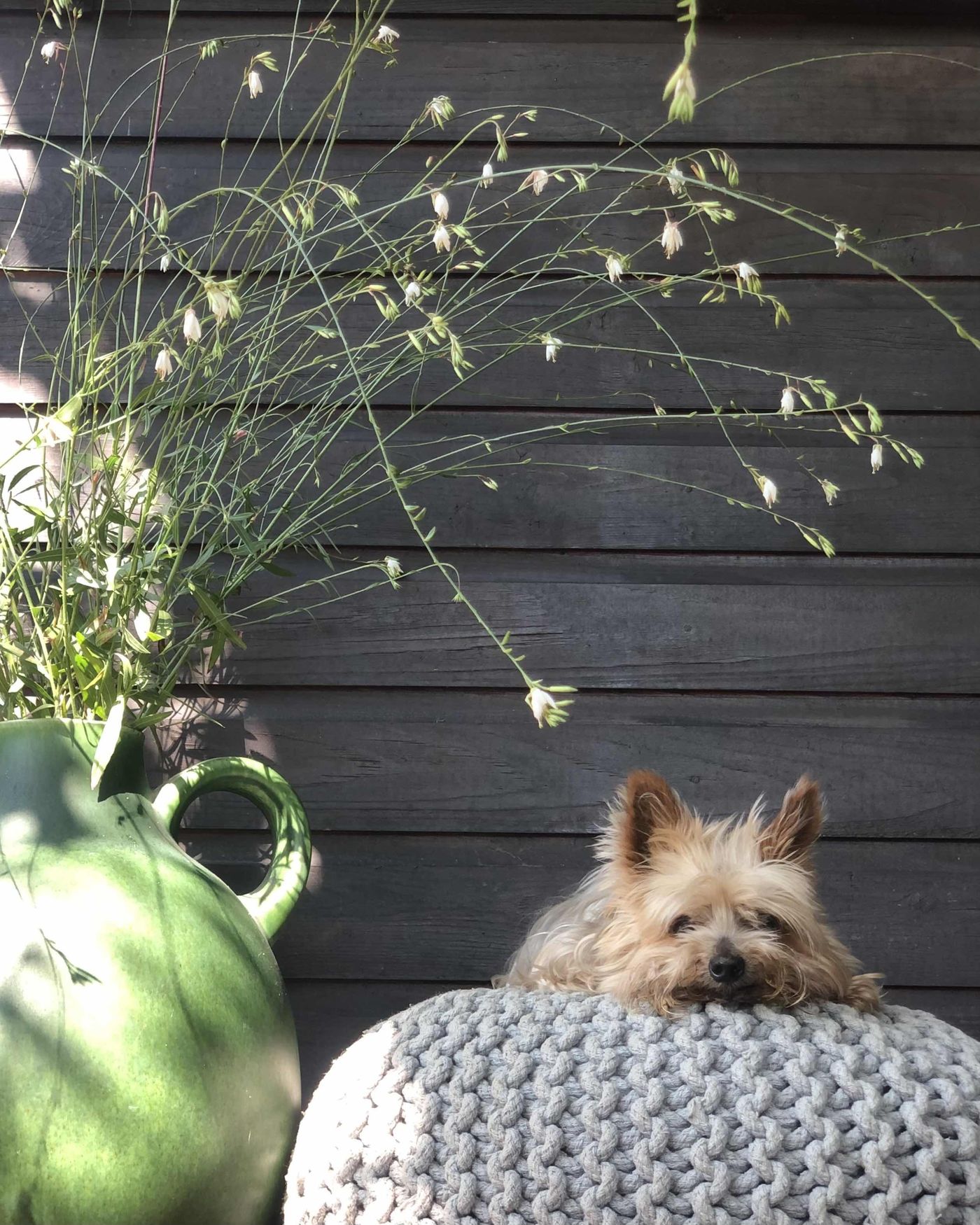 Pouf