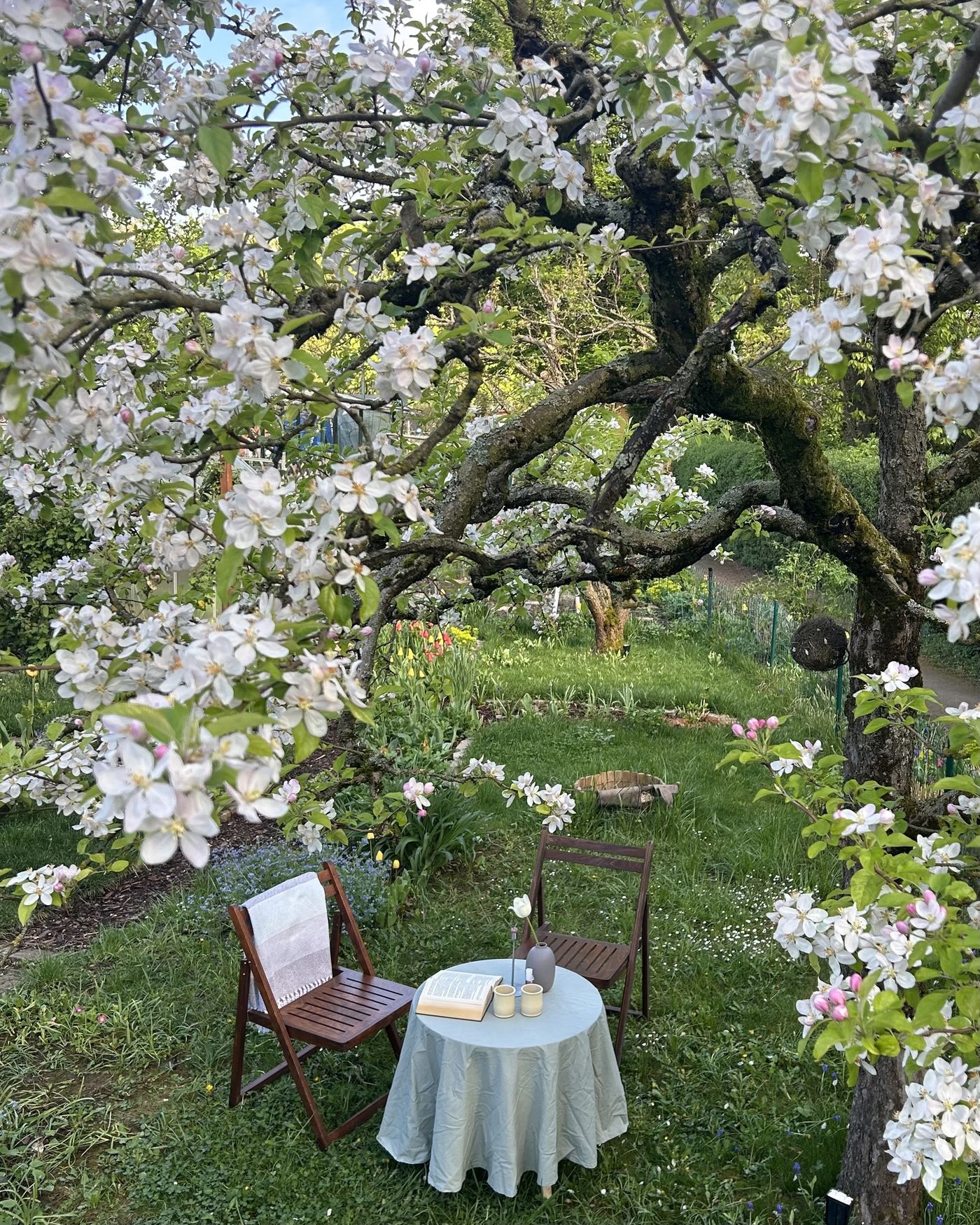Kleiner Garten