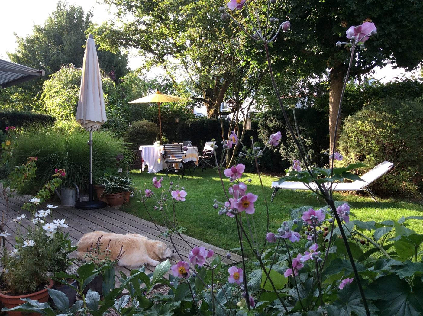 Kleiner Garten