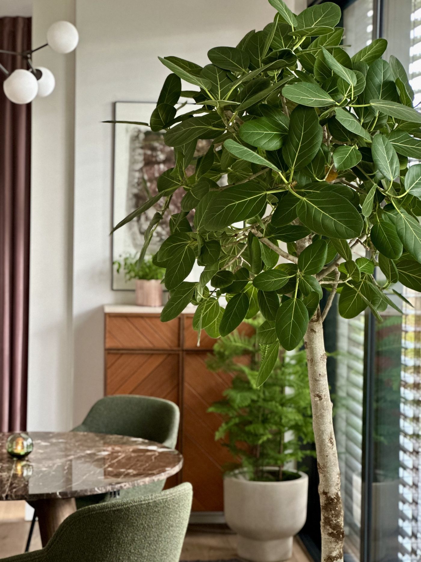 BoConcept