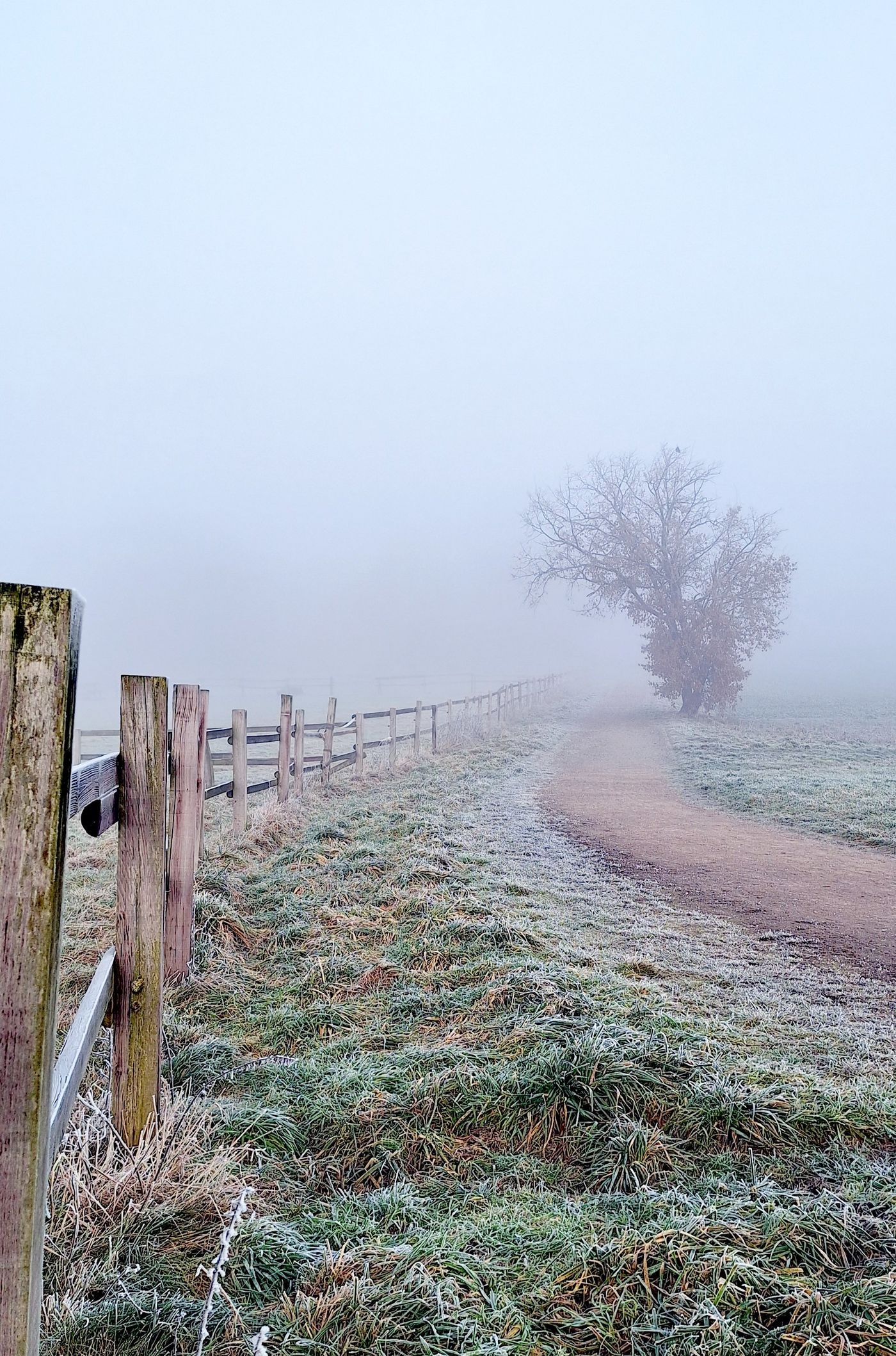 Natur