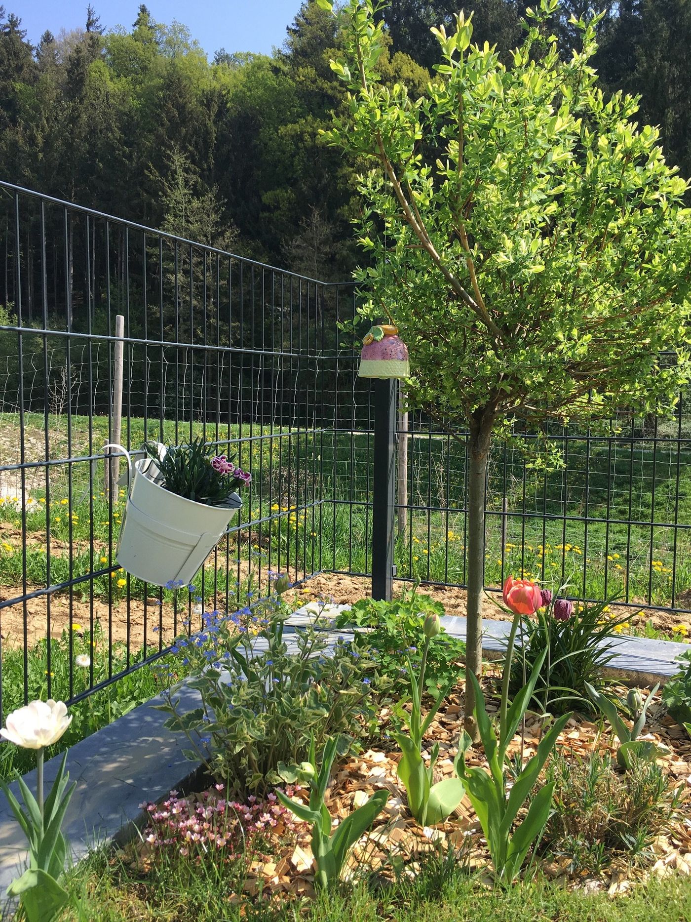Kleiner Garten