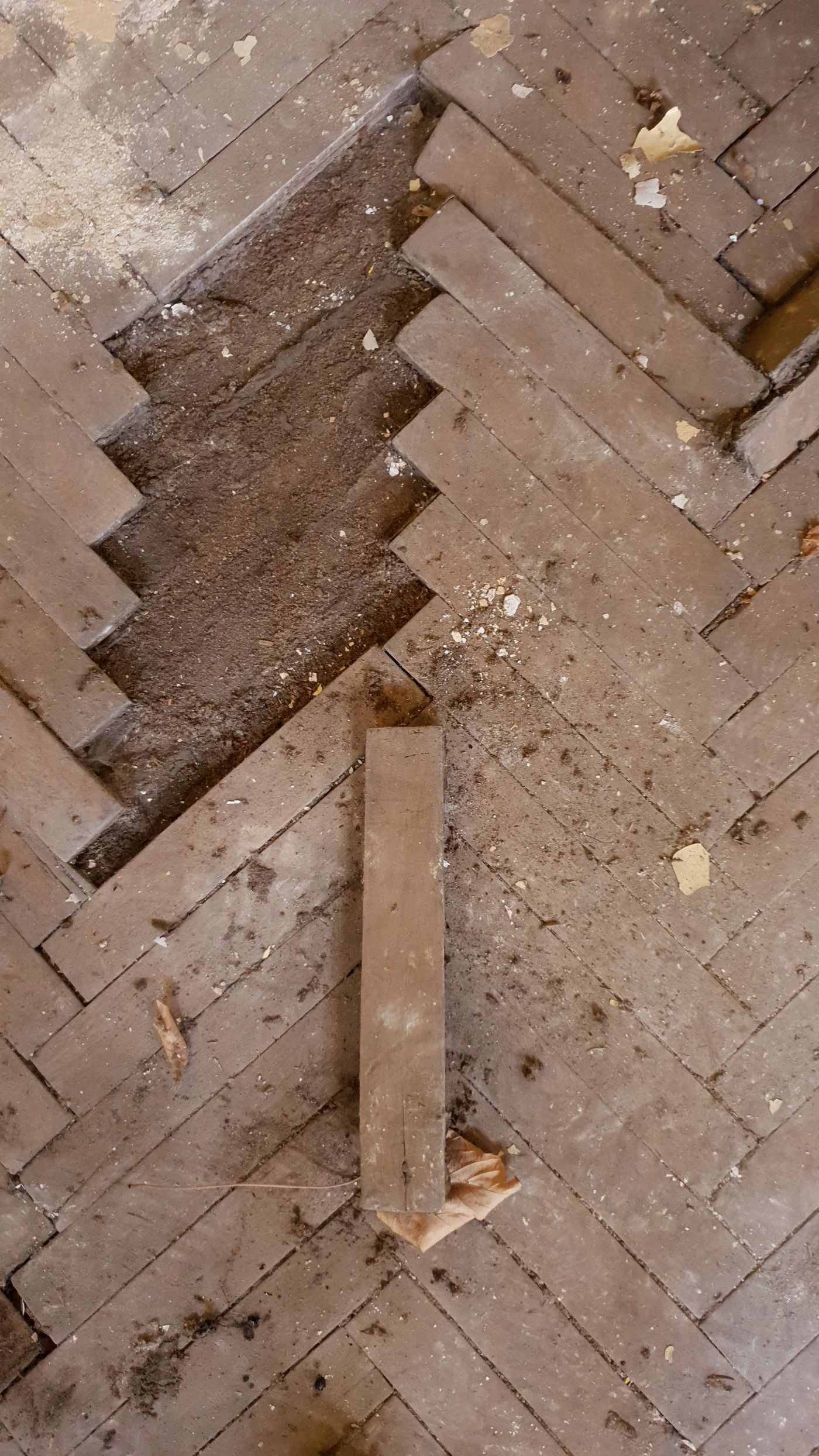 Lost place