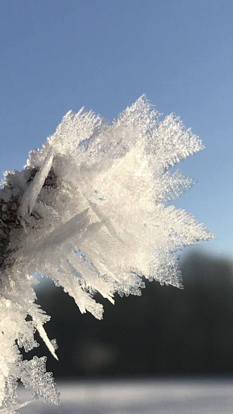 Eiskristalle