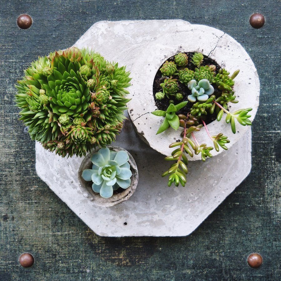 DIY Idee für draußen: Pflanzgefäße aus Beton selber gießen