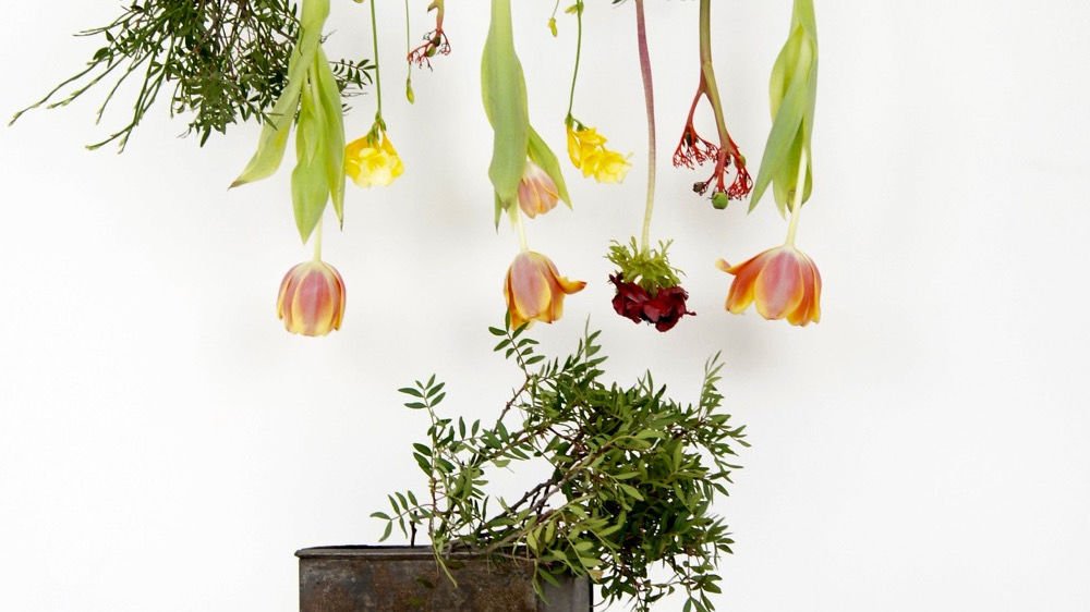 10 DIY-Ideen für frühlingshafte Blumendeko