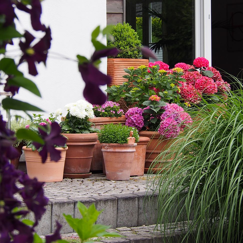 6 Blumentopfinspirationen für dein Outdoorwohnzimmer