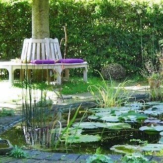 Inspirationen für deinen Gartenteich und Schwimmteich