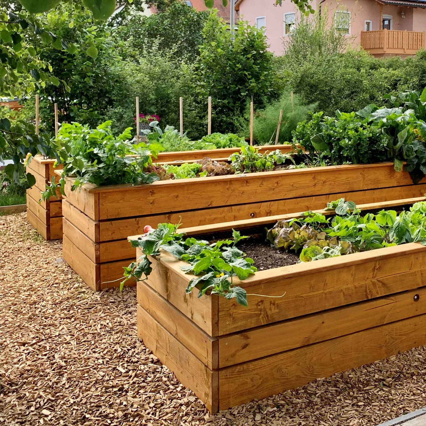 Hochbeet selber bauen: In 5 Schritten zum Gemüsegarten