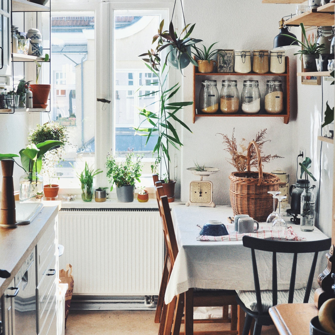 Zu Besuch bei frau_seekuh in der kleinen 2-Zimmer-Altbauwohnung im Zentrum von Berlin