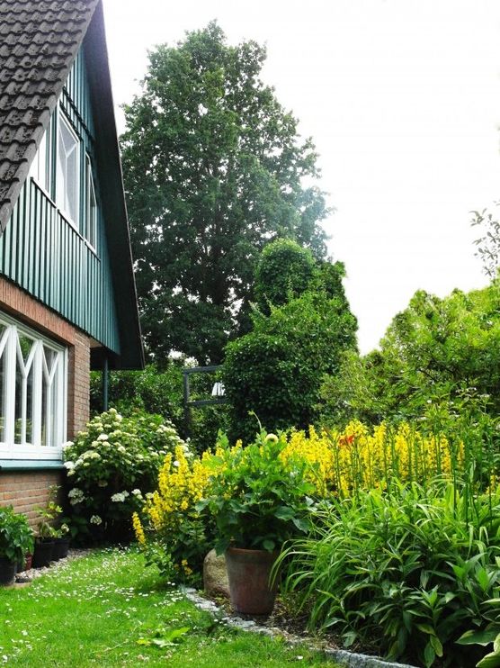 Im Garten mit... Mitglied adelante: „Unser Garten ist bis heute im Werden begriffen!“ Im Garten mit... Mitglied adelante: „Unser Garten ist bis heute im Werden begriffen!“