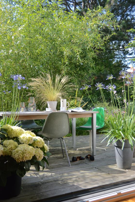 „Ich möchte kein Sklave meines Gartens sein.“ – Im Garten bei Rosmarina „Ich möchte kein Sklave meines Gartens sein.“ – Im Garten bei Rosmarina