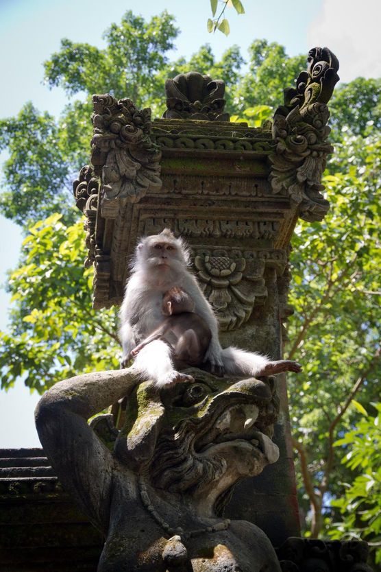 Indonesien: Reich der Inseln, Vulkane und Reisterrassen Indonesien: Reich der Inseln, Vulkane und Reisterrassen